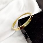 Stainless Steel Cartier Love Bracelet Master Bracelet - Image 4