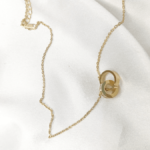 Car-tier Geometric Duo Circle Zircon and stainless steel pendant