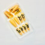 reusable snake matt coffin 12 pcs nails set - Image 4